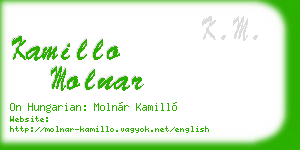 kamillo molnar business card