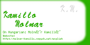 kamillo molnar business card